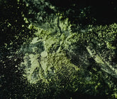 Broccoli Powder Supplement NZ: Sprout Powder Picks for Whole Food Routines