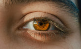 Eye Health Supplements NZ: What Makes Sense for Screens, Night Driving and Healthy Ageing?