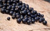 Why New Zealand Blackcurrants Are So Rich in Anthocyanins: From Growing Conditions to Berry Skin