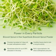 Broccoli Sprout Powder
