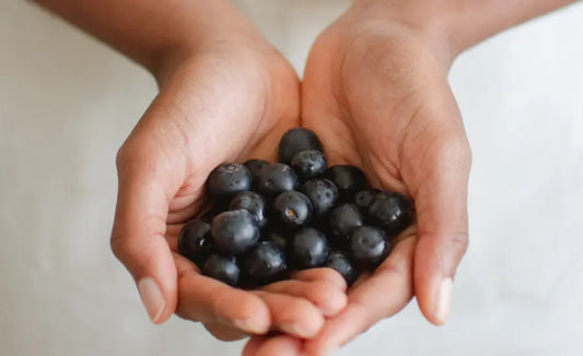 NZ-grown blackcurrants beside a blackcurrant supplement capsule and subtle laboratory timing vials