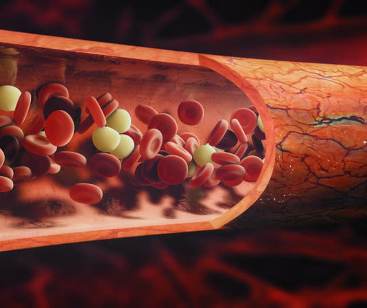 NZ blackcurrants and capsules with a subtle blood flow research measurement motif