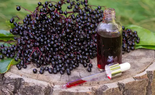 NZ blackcurrants, capsules and a creatine scoop arranged for an active sports nutrition article