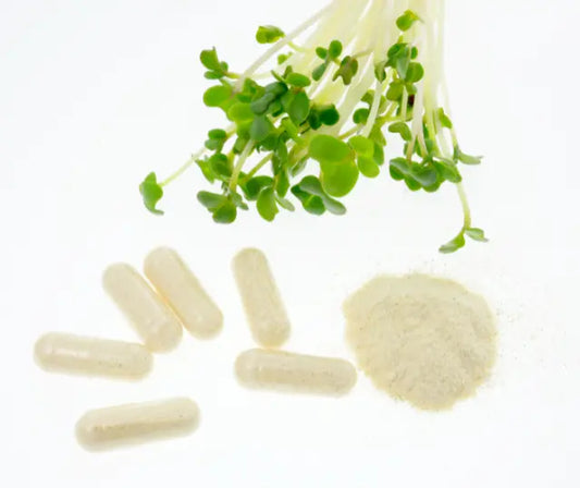 Fresh broccoli sprouts beside two capsules in a balanced seven-day sulforaphane routine comparison