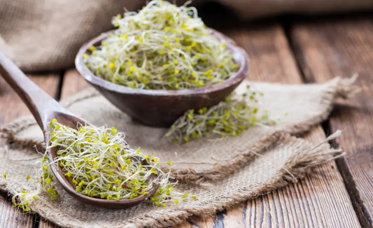 Fresh broccoli sprouts beside convenient capsules in an everyday NZ kitchen setting