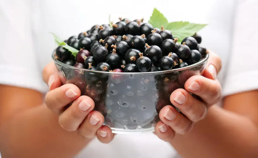 Kiwi Superfoods Blackcurrant Skin Extract shown as one bottle and three bottles beside NZ-grown blackcurrants, representing 30 and 90 day supplies.