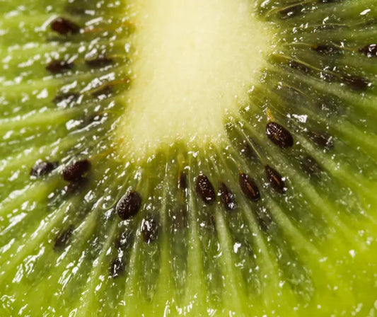 Fresh green and gold kiwifruit, natural powder and capsules suggesting enzyme and prebiotic pathways