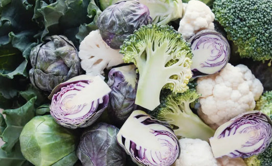 Fresh broccoli sprouts illustrating the different chemistry behind sulforaphane and DIM