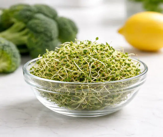Fresh broccoli sprouts in a bowl on a kitchen bench, representing sulforaphane-rich foods.