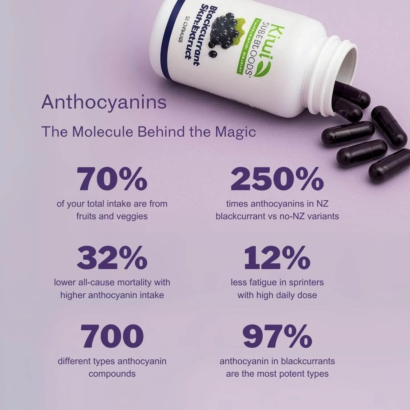 Blackcurrant Skin Extract