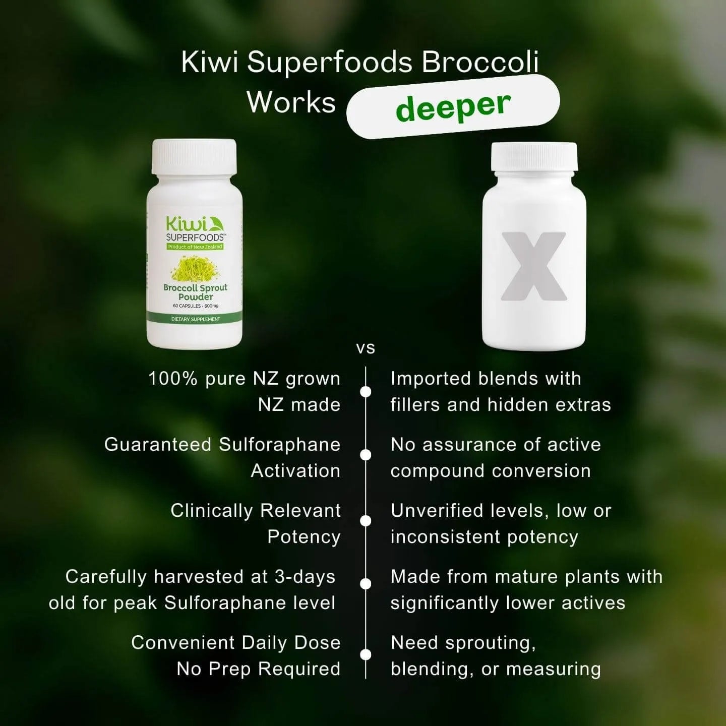 Broccoli Sprout Powder
