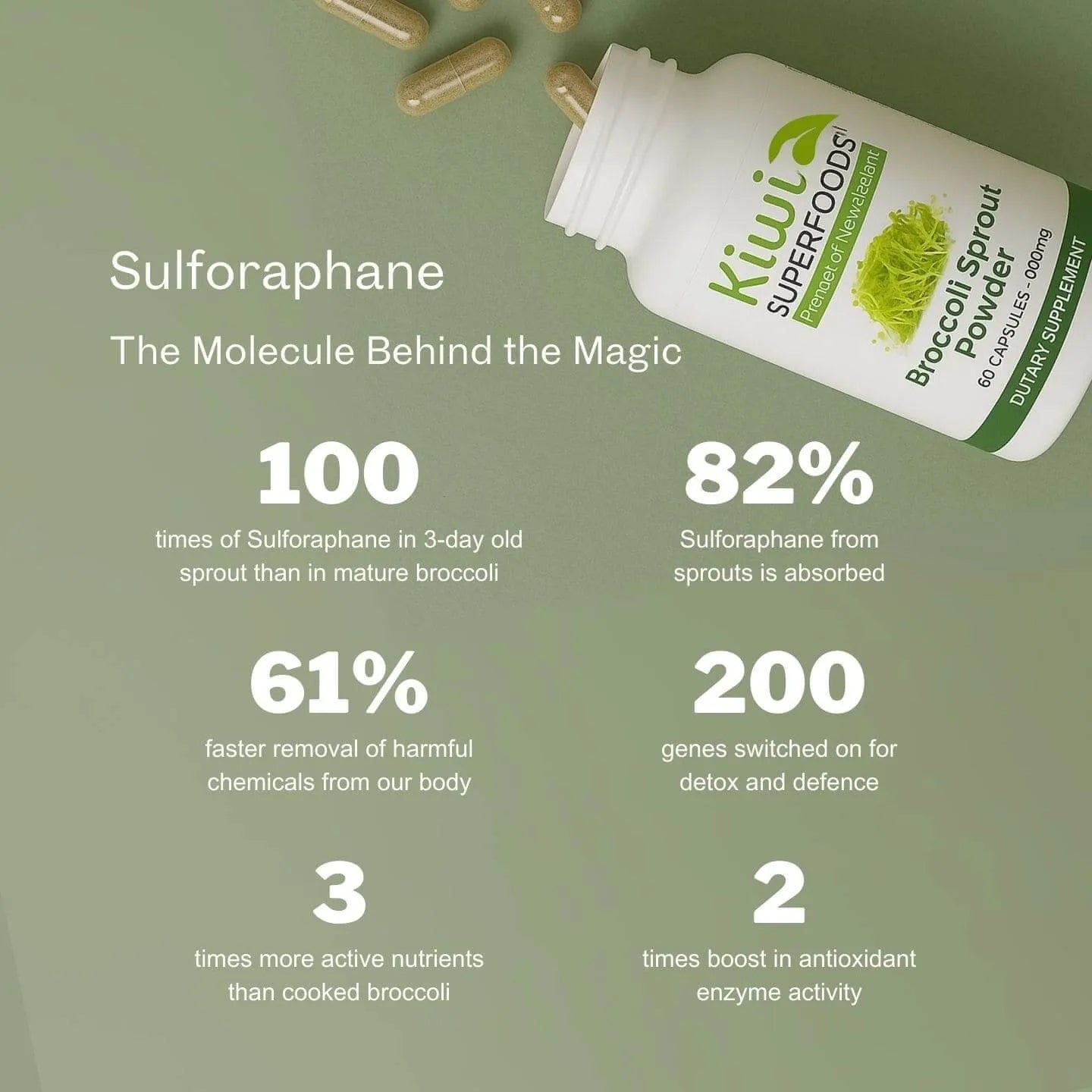 Broccoli Sprout Powder